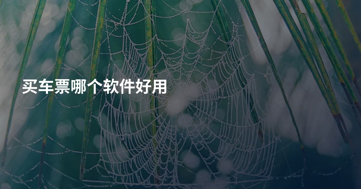 买车票哪个软件好用