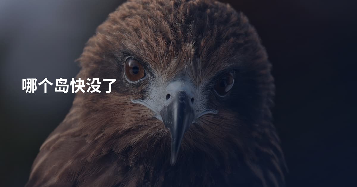 哪个岛快没了