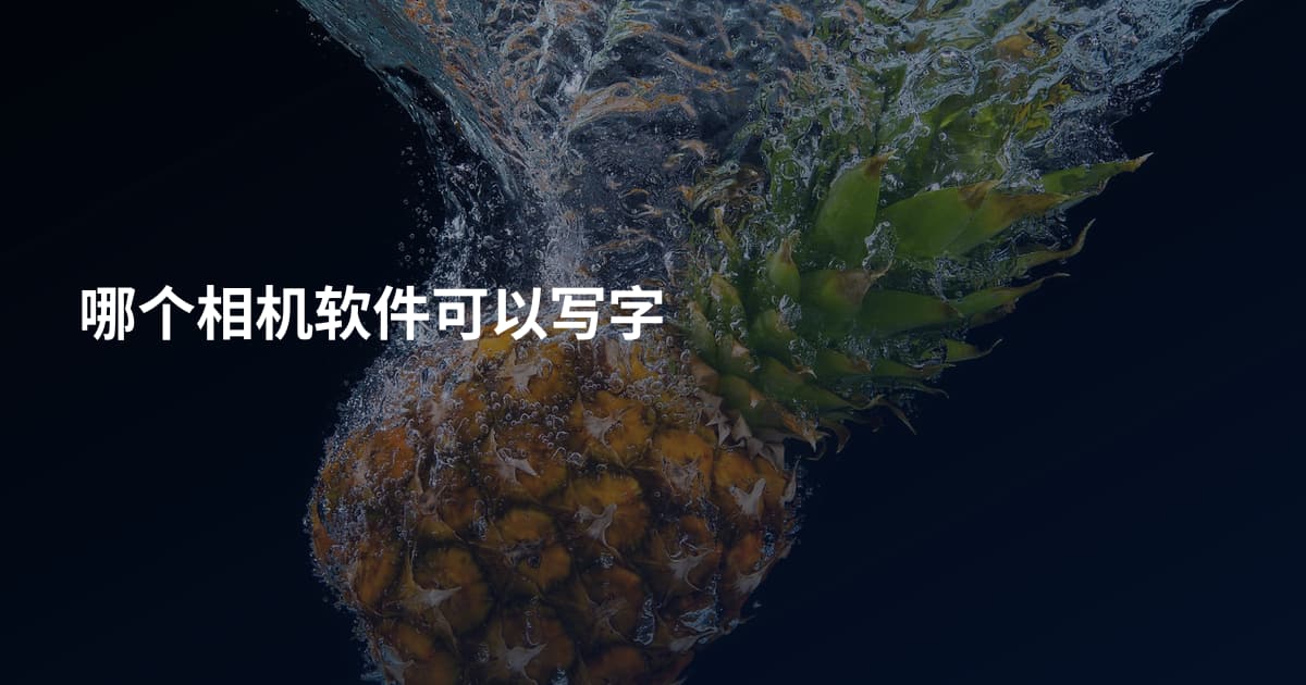哪个相机软件可以写字