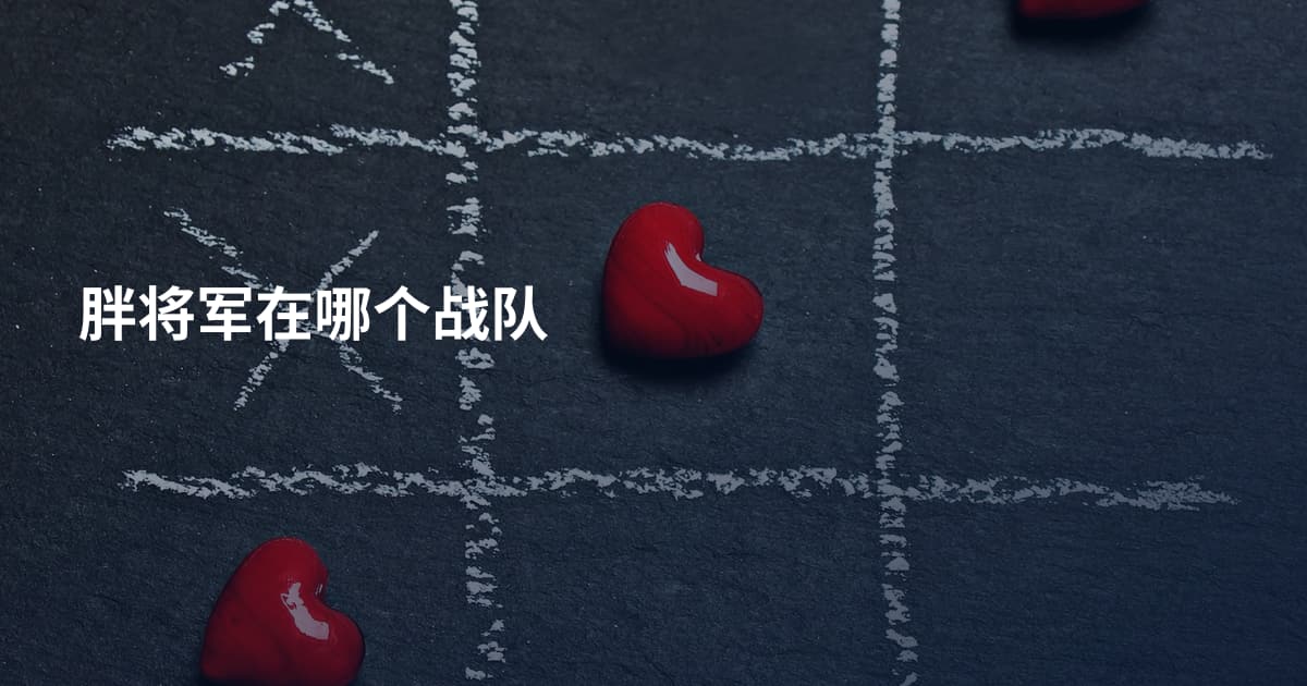 胖将军在哪个战队