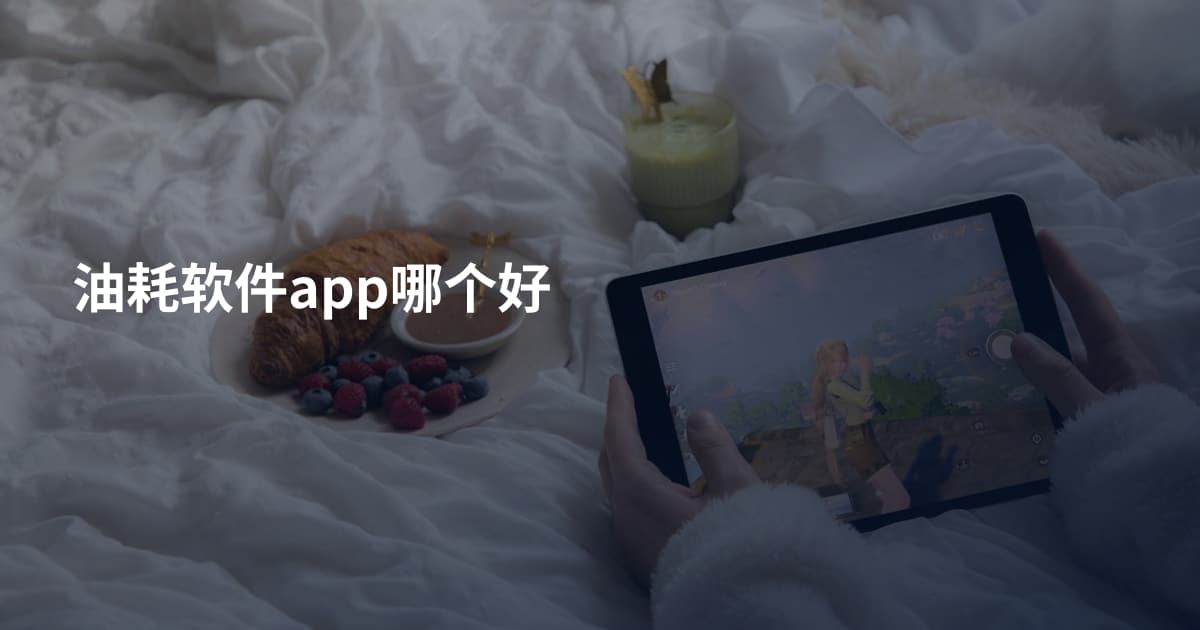 油耗软件app哪个好