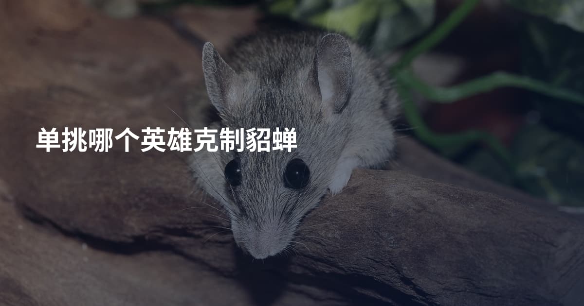 单挑哪个英雄克制貂蝉