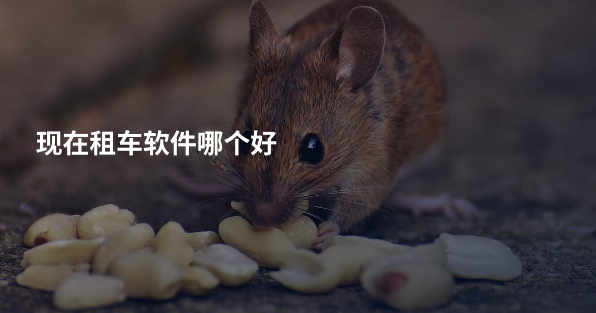 现在租车软件哪个好