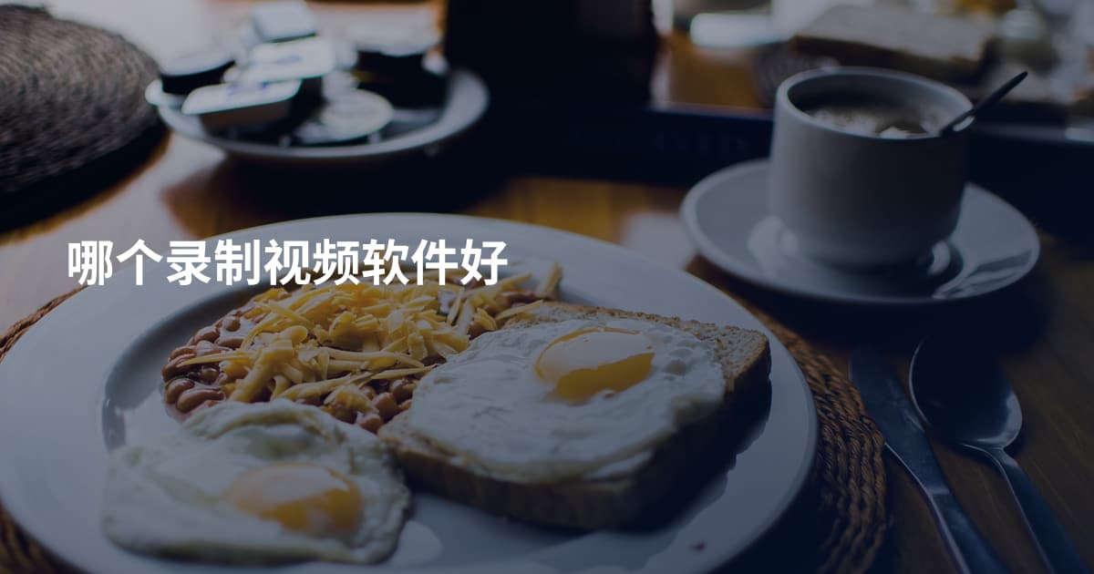 哪个录制视频软件好