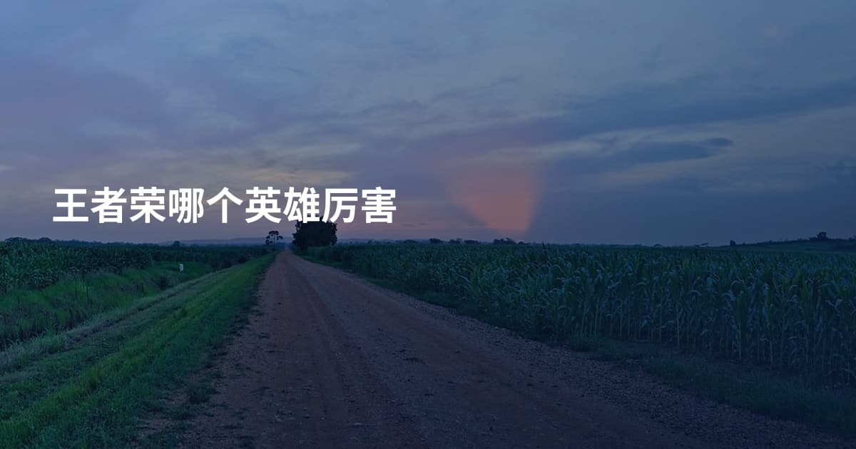 王者荣哪个英雄厉害