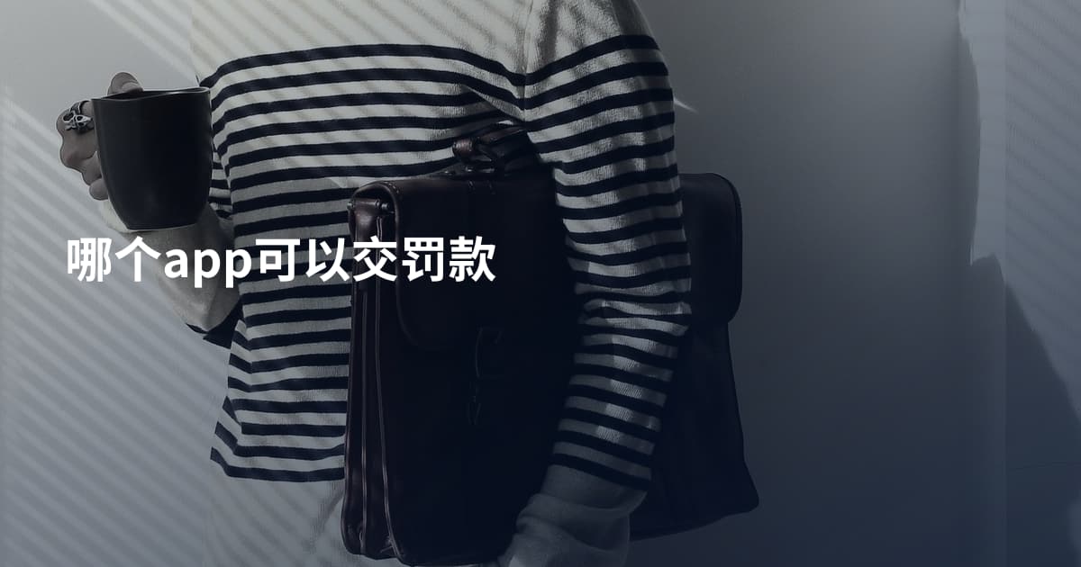哪个app可以交罚款