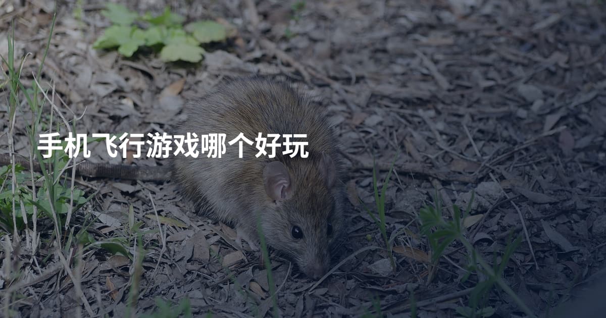 手机飞行游戏哪个好玩