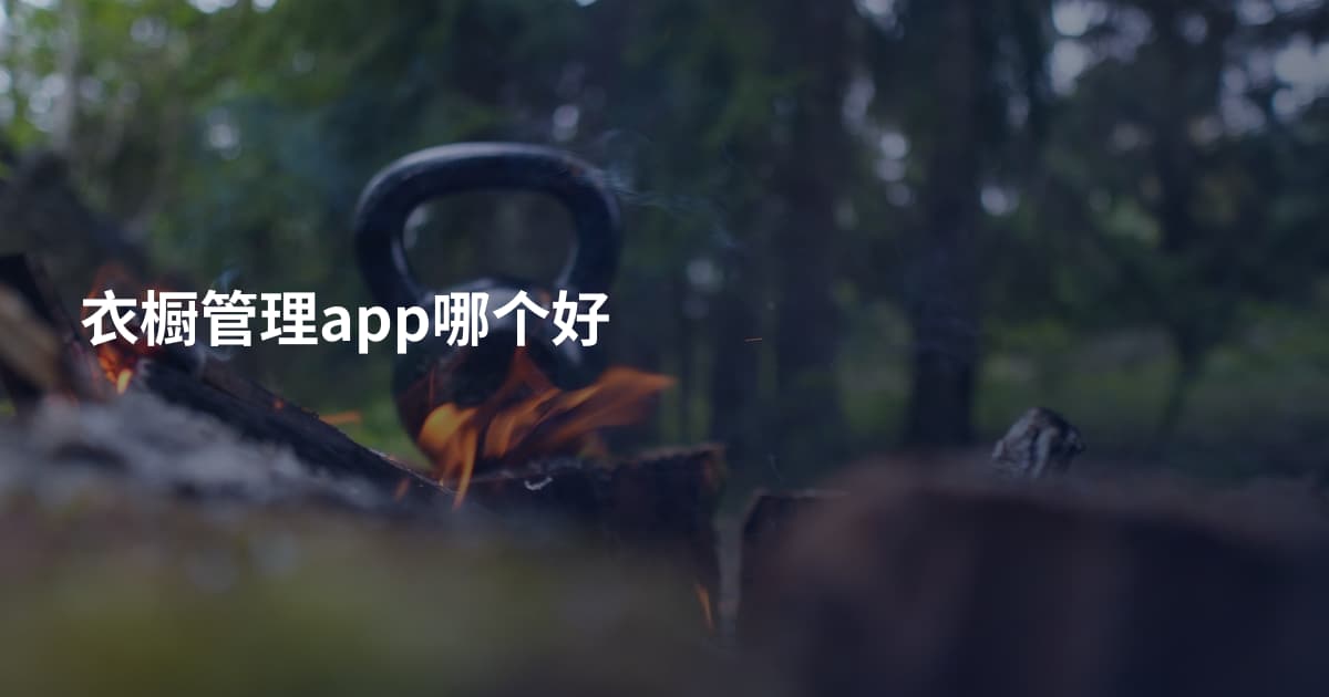 衣橱管理app哪个好