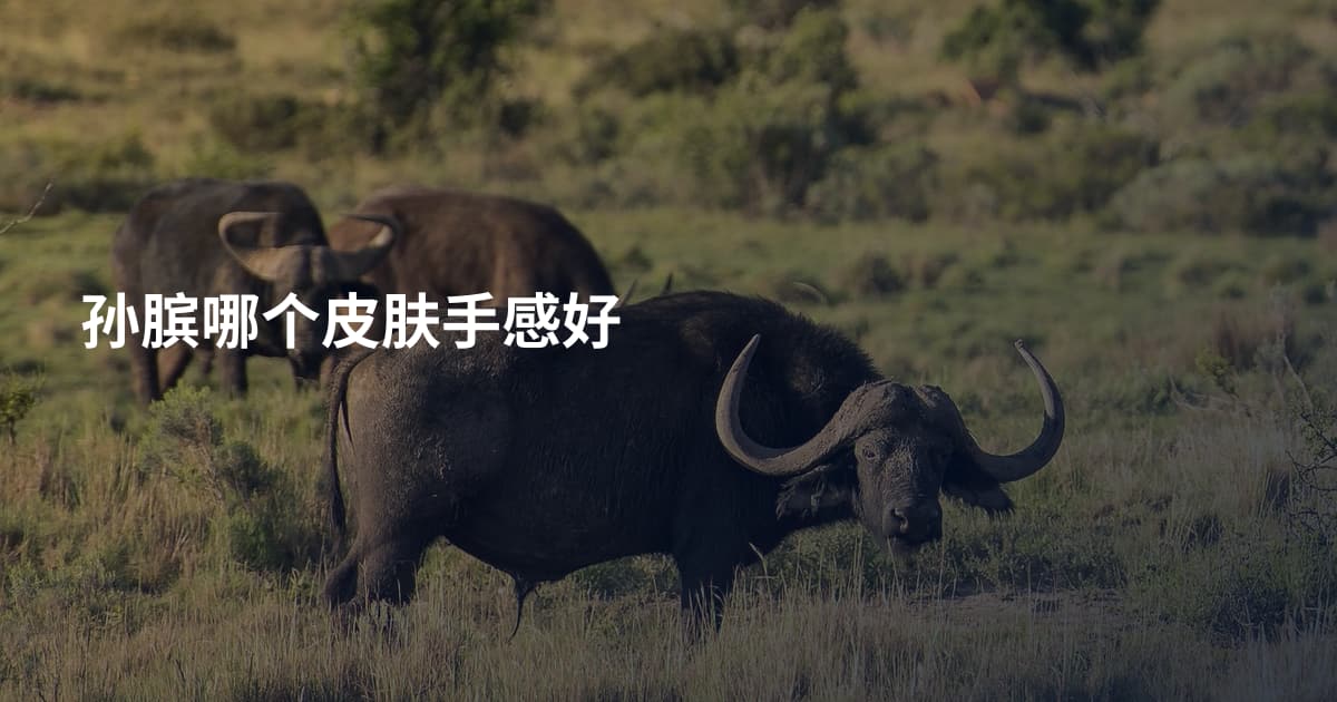 孙膑哪个皮肤手感好