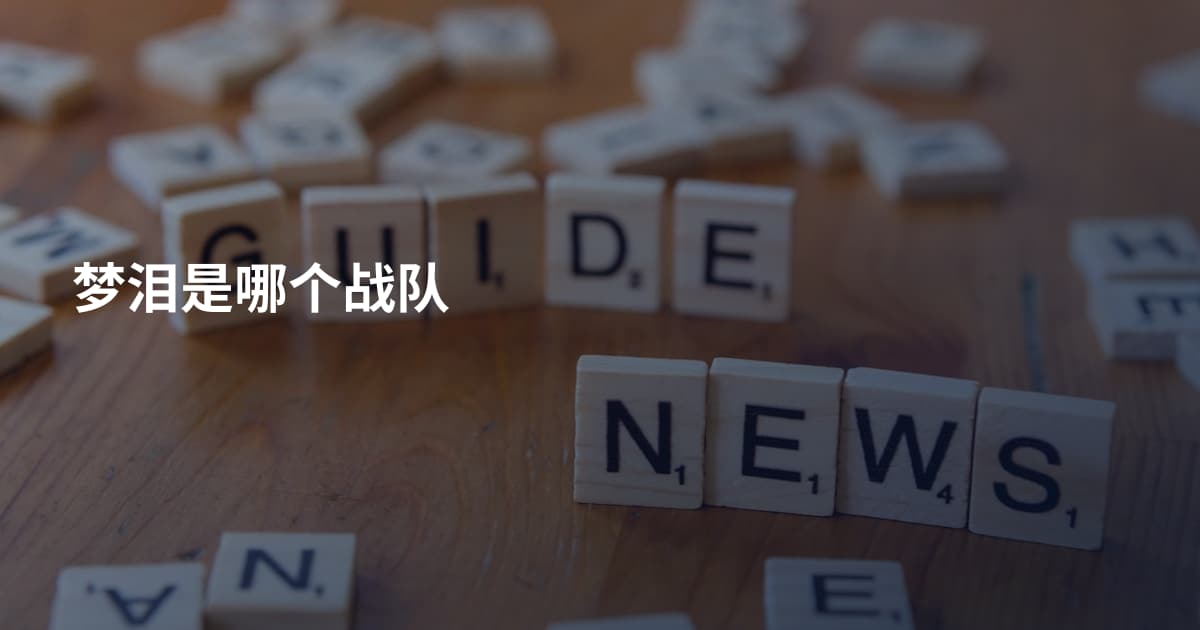 梦泪是哪个战队