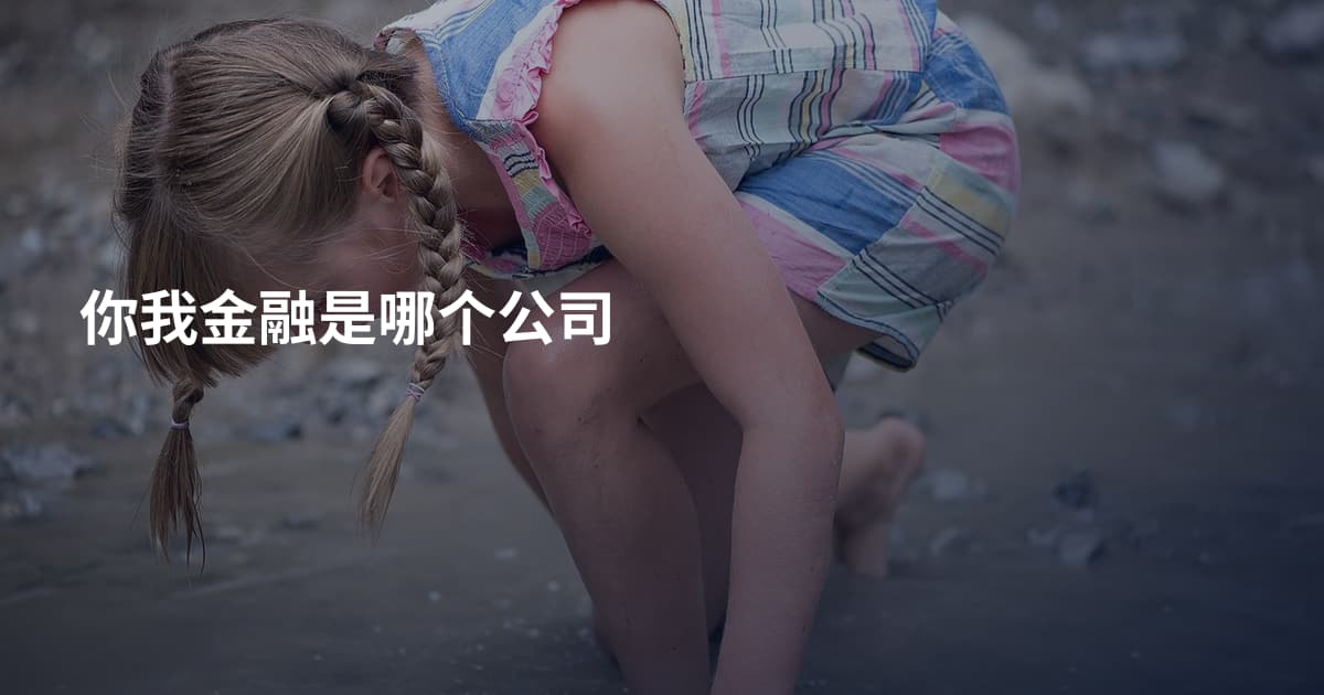 你我金融是哪个公司