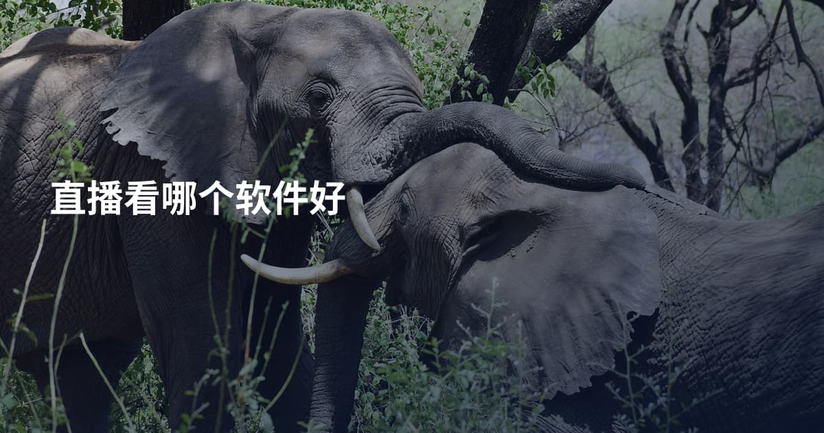 直播看哪个软件好