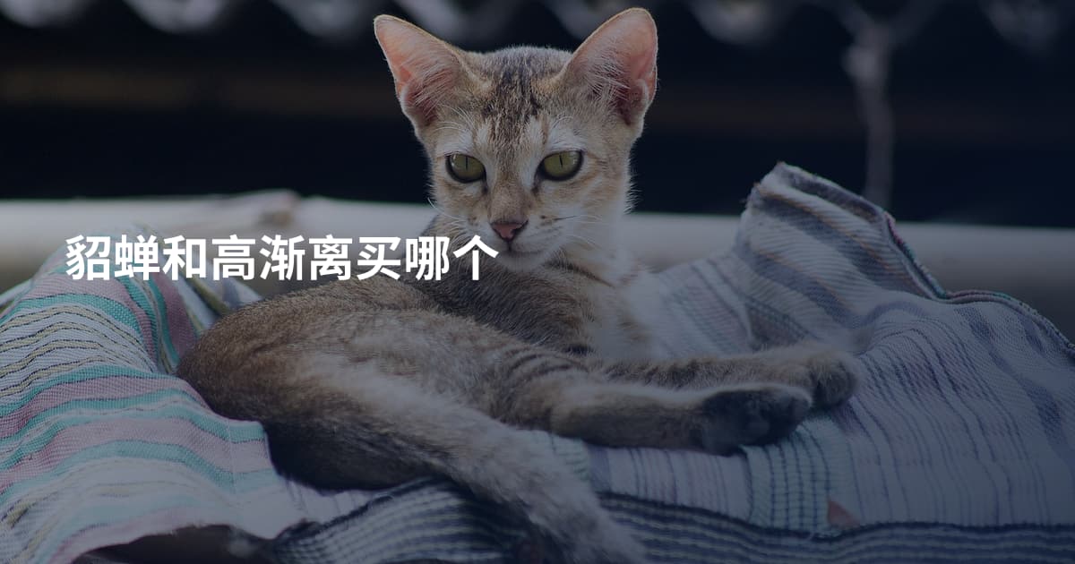 貂蝉和高渐离买哪个