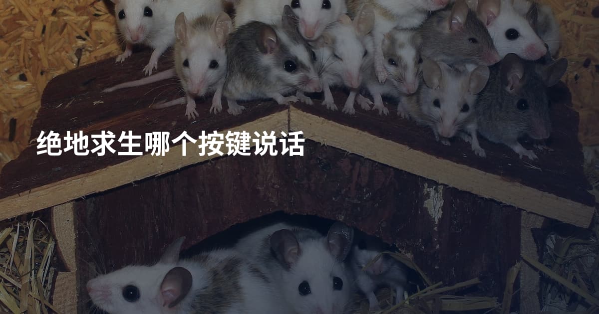 绝地求生哪个按键说话