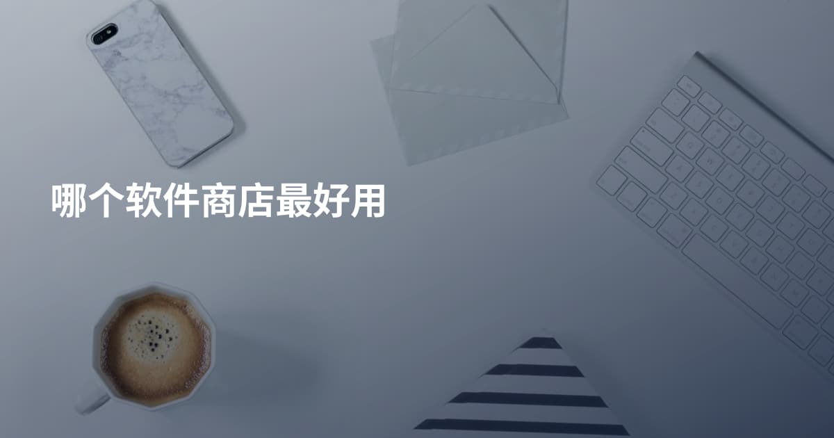 哪个软件商店最好用