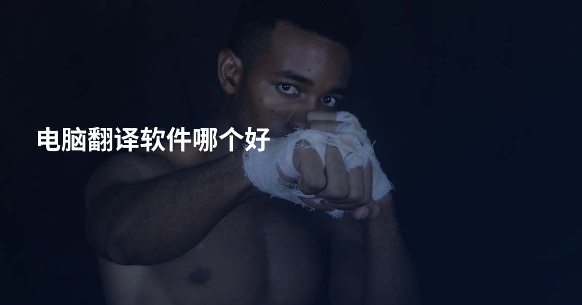电脑翻译软件哪个好