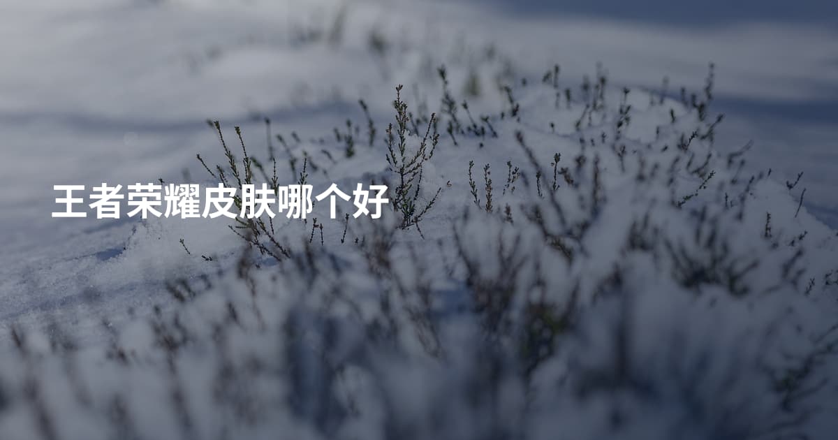 王者荣耀皮肤哪个好