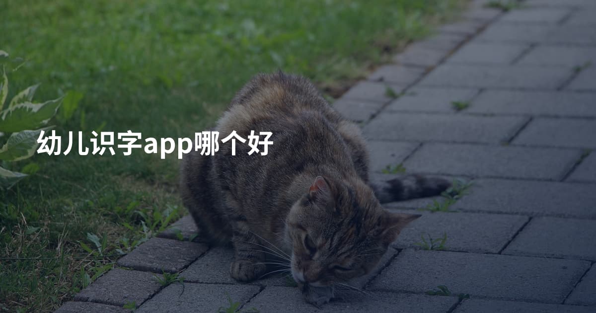 幼儿识字app哪个好