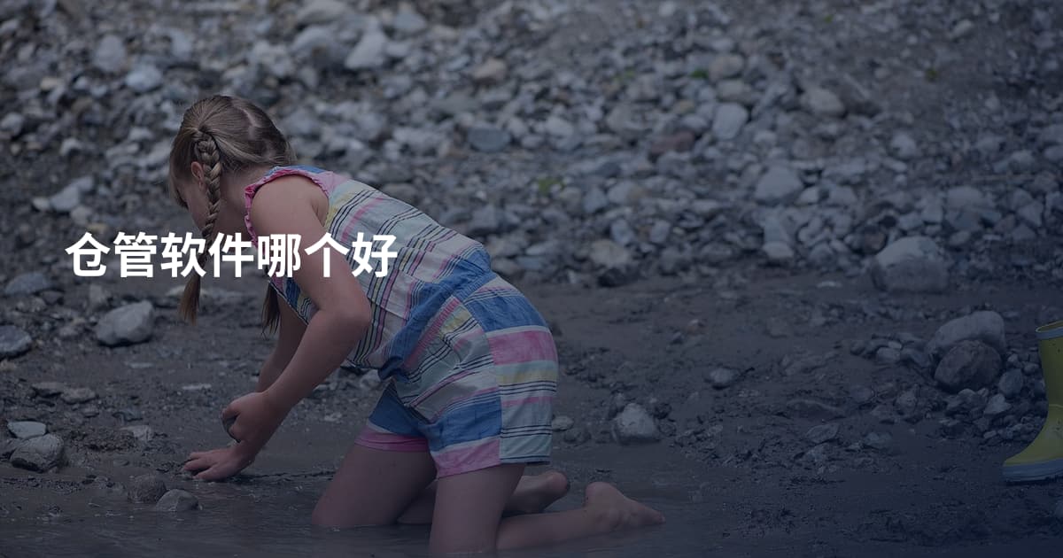 仓管软件哪个好