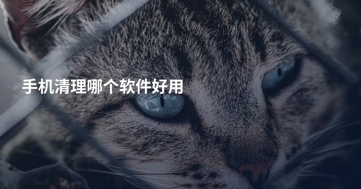 手机清理哪个软件好用