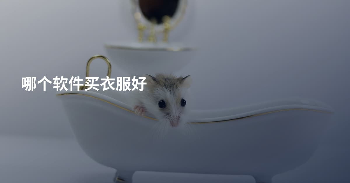 哪个软件买衣服好