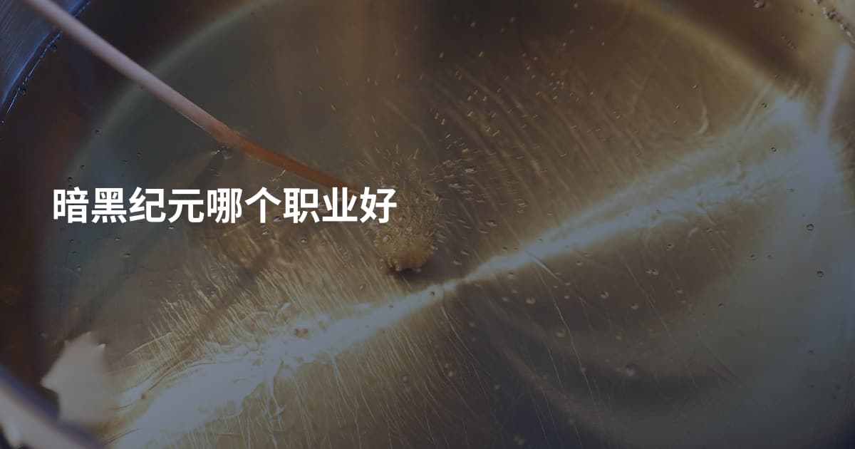 暗黑纪元哪个职业好