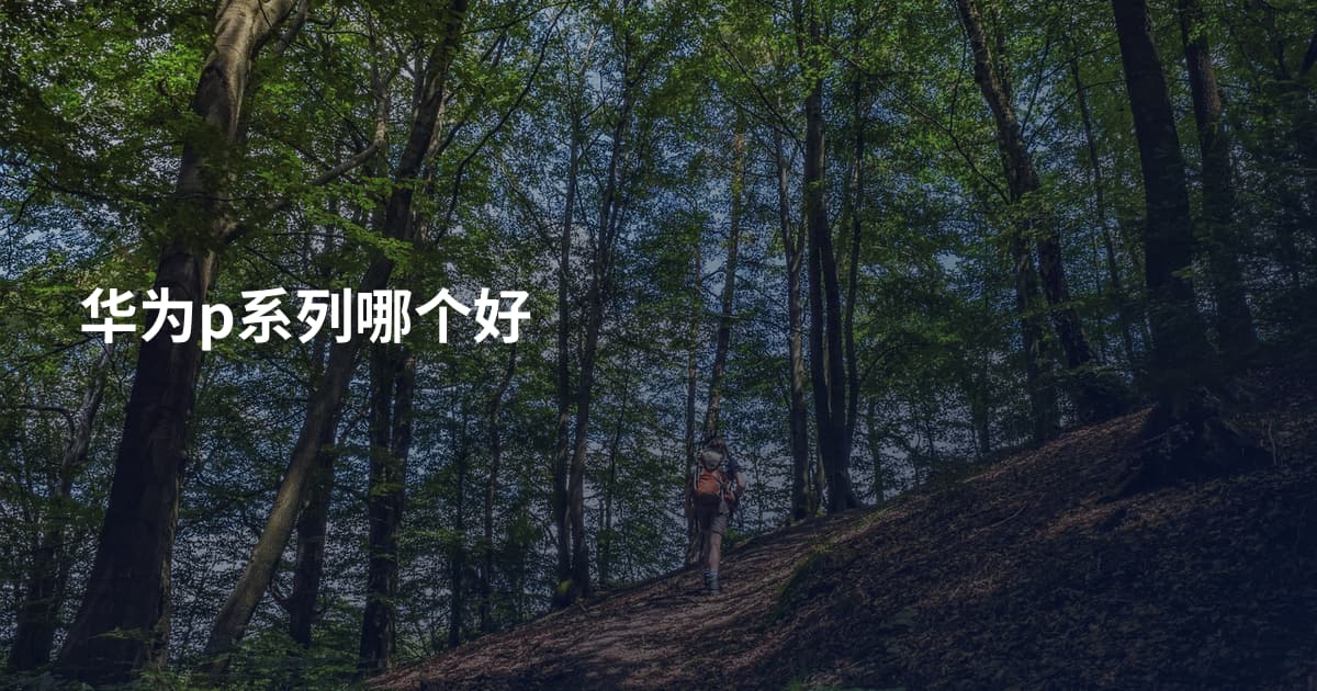 华为p系列哪个好