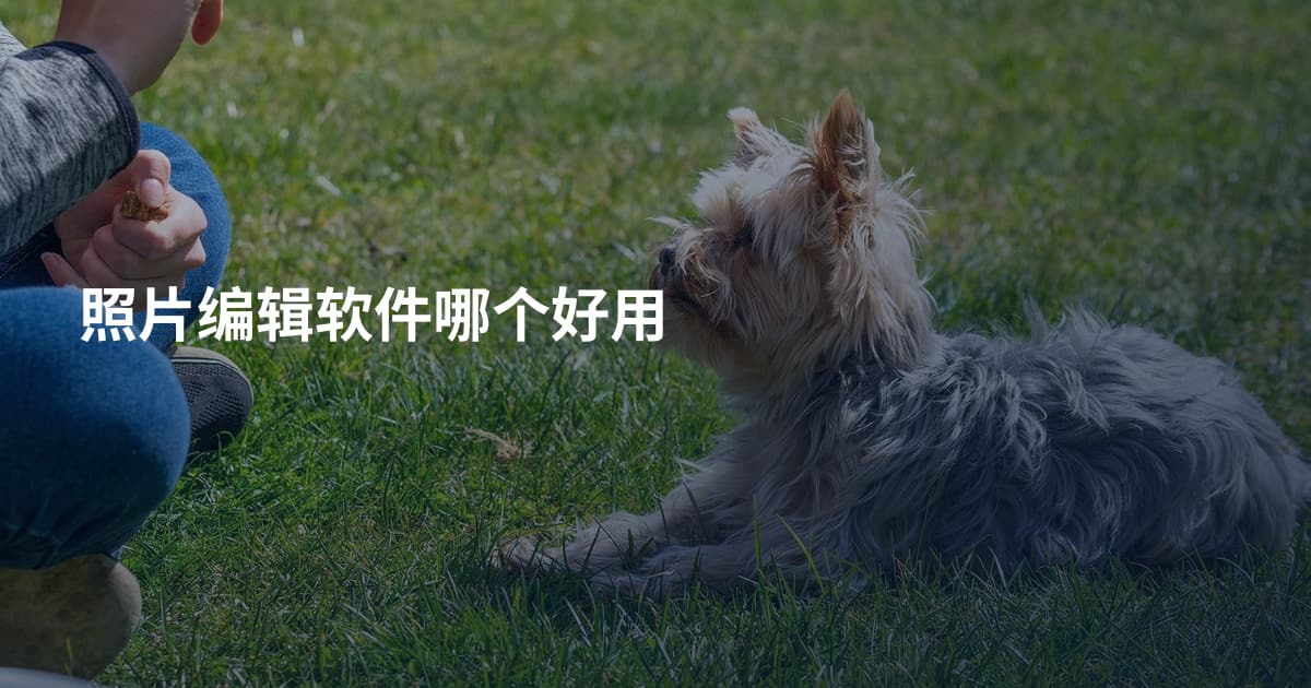 照片编辑软件哪个好用