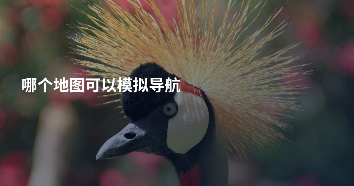 哪个地图可以模拟导航