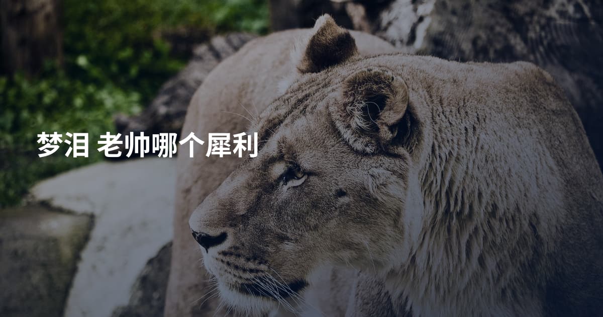 梦泪 老帅哪个犀利