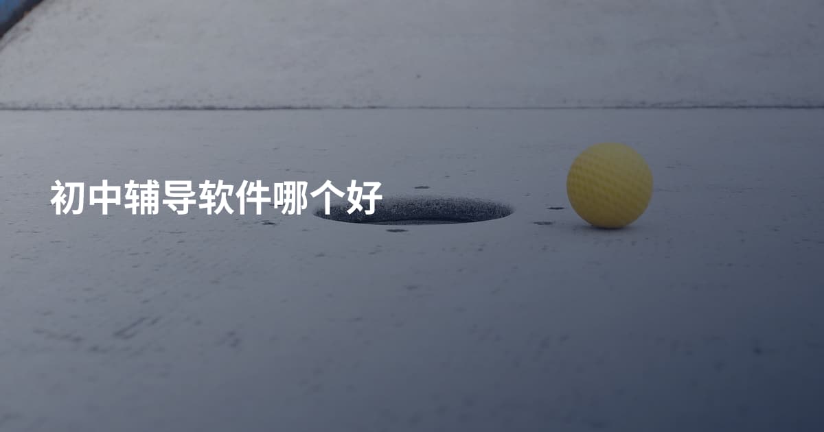 初中辅导软件哪个好