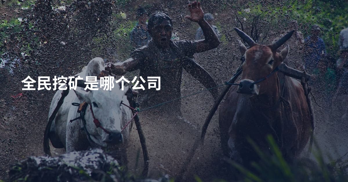 全民挖矿是哪个公司