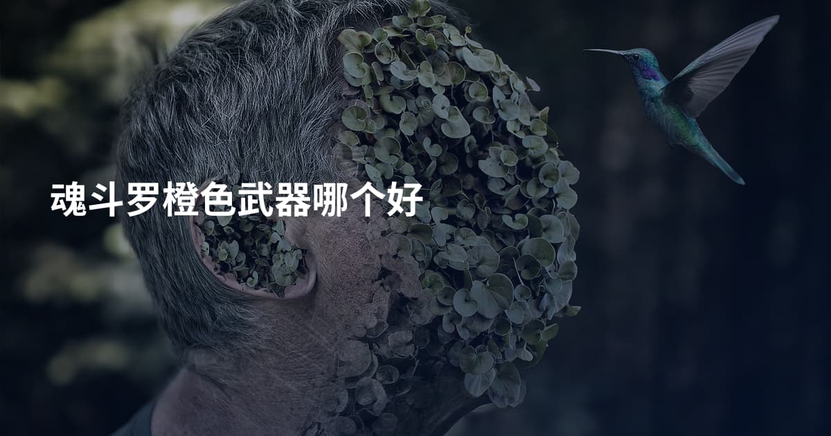 魂斗罗橙色武器哪个好