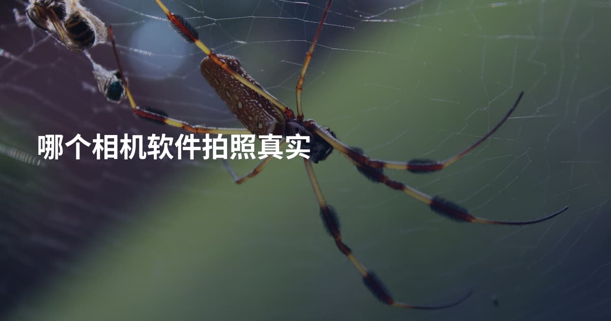 哪个相机软件拍照真实