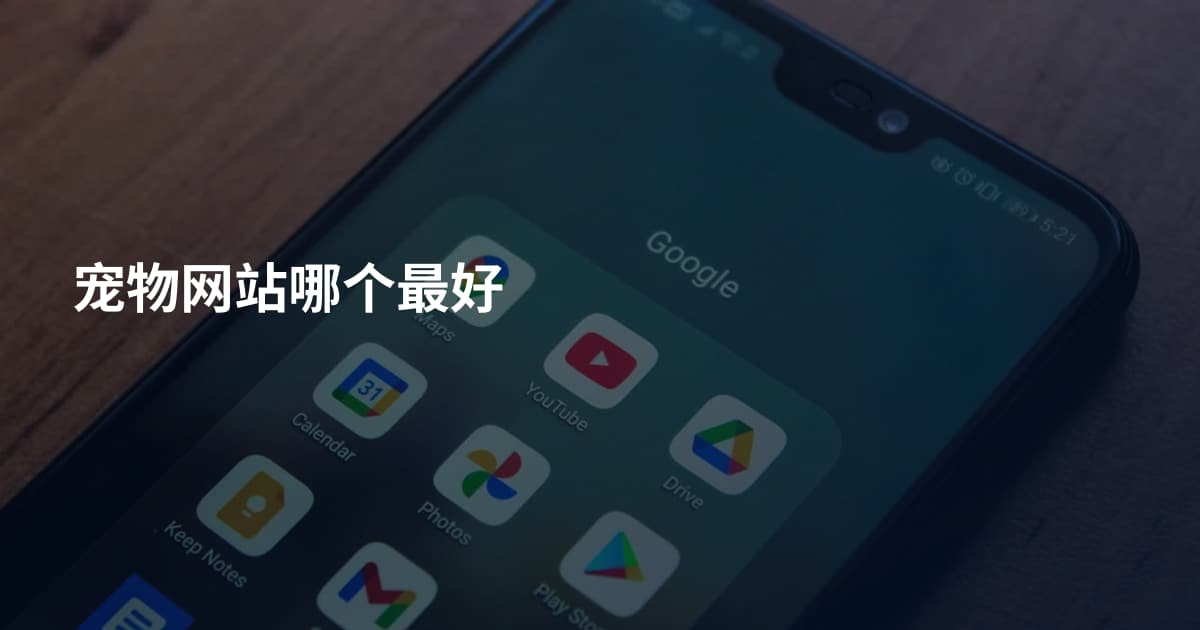 宠物网站哪个最好