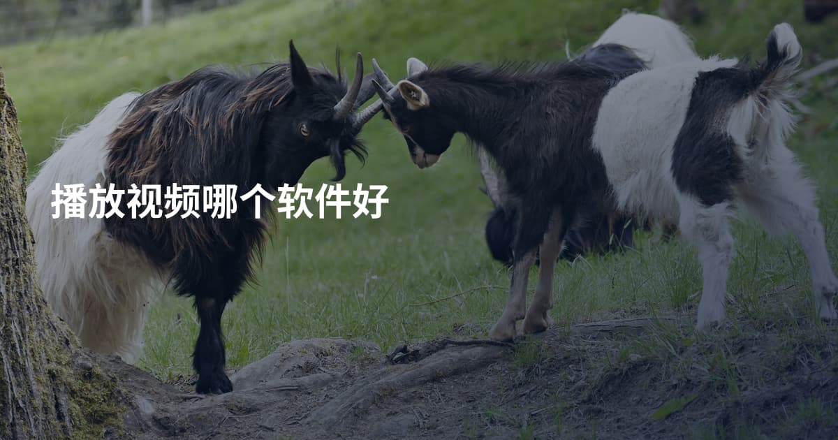 播放视频哪个软件好