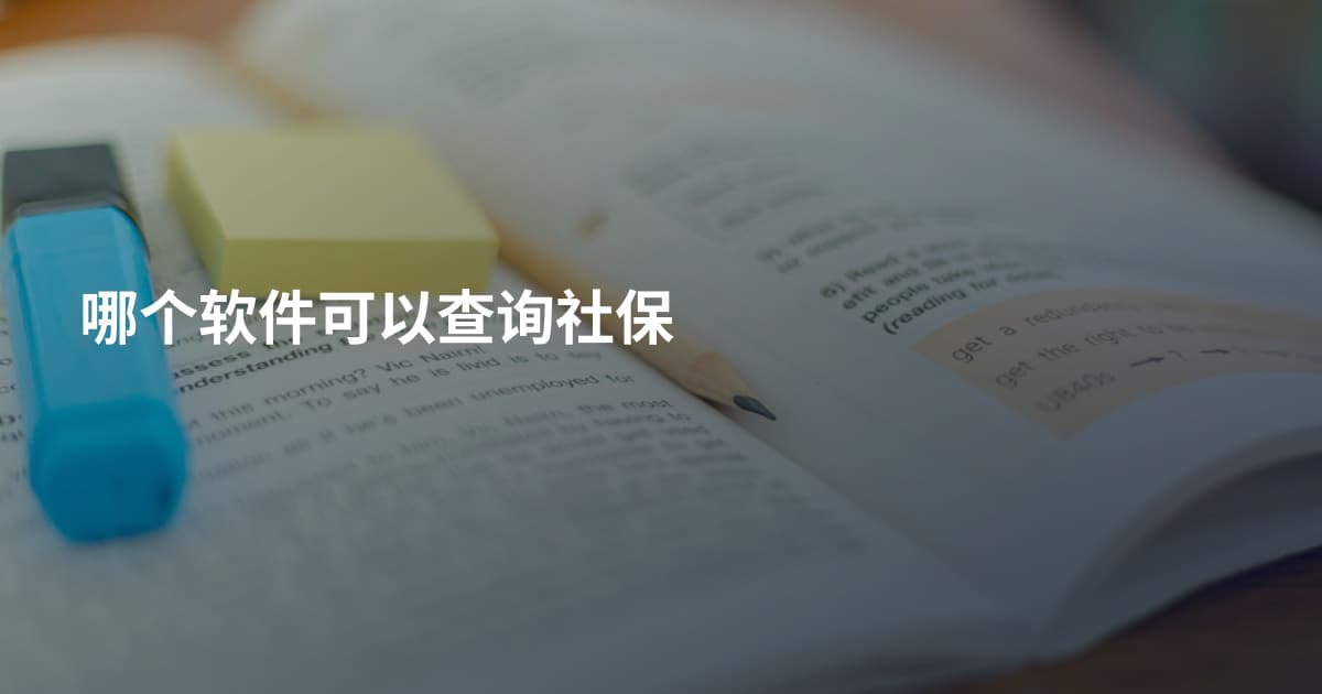 哪个软件可以查询社保
