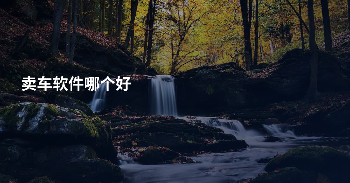 卖车软件哪个好