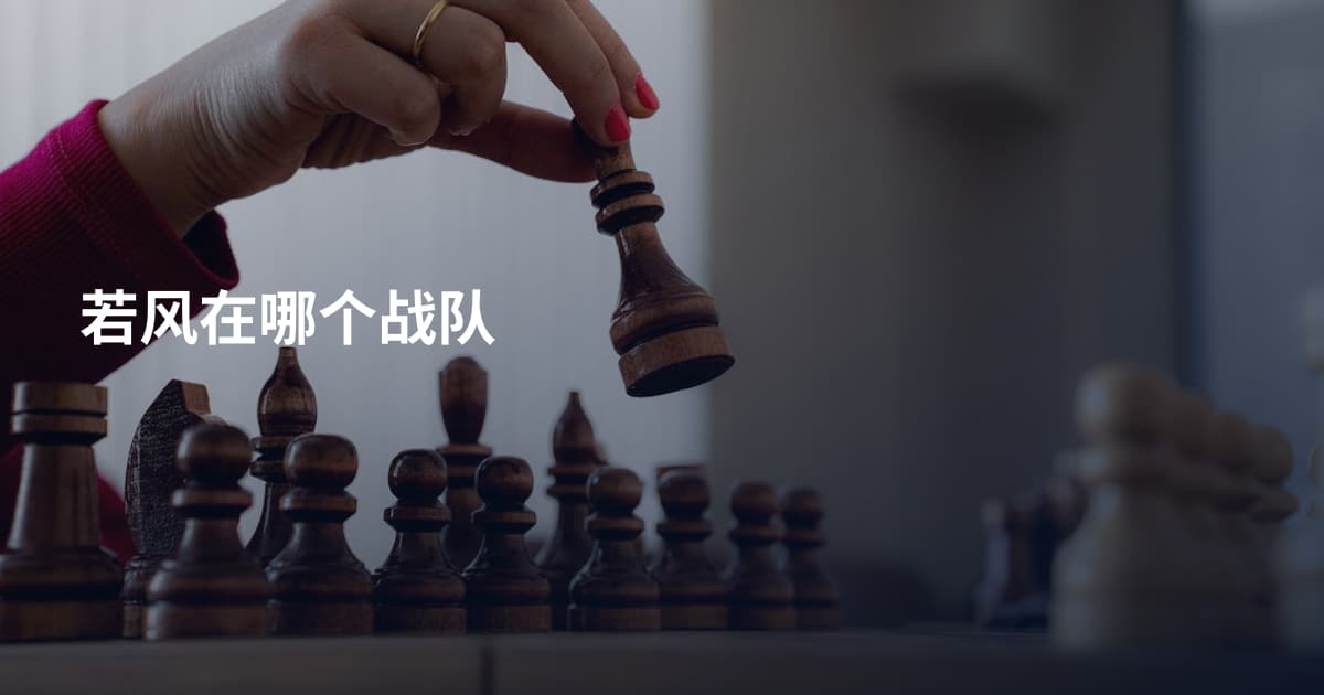 若风在哪个战队