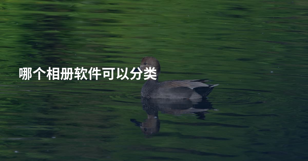 哪个相册软件可以分类