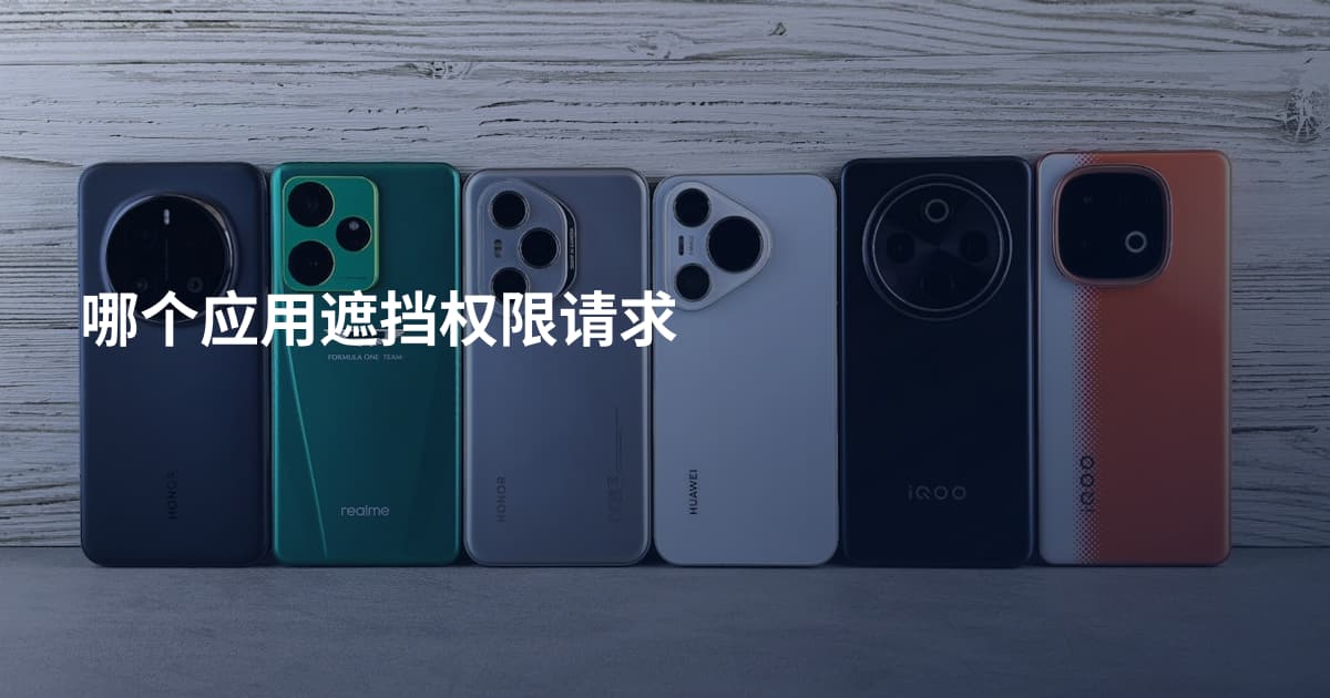 哪个应用遮挡权限请求