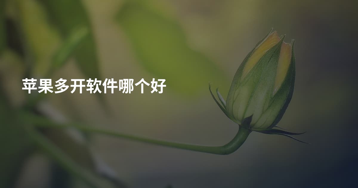 苹果多开软件哪个好