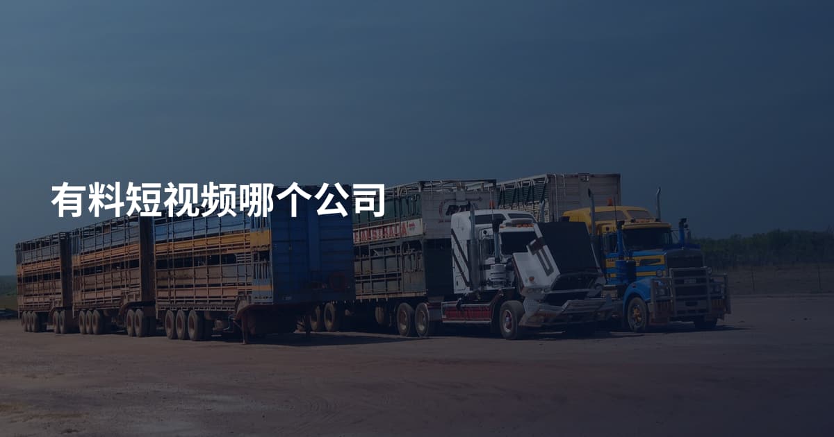 有料短视频哪个公司