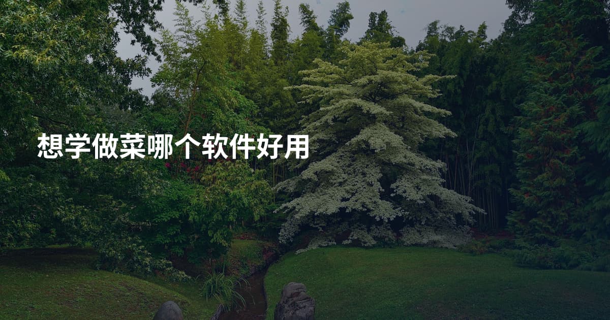 想学做菜哪个软件好用