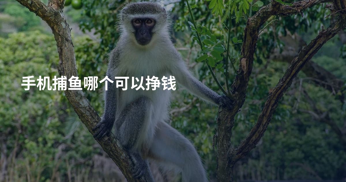 手机捕鱼哪个可以挣钱