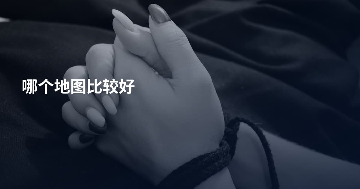 哪个地图比较好
