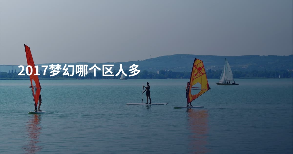 2017梦幻哪个区人多