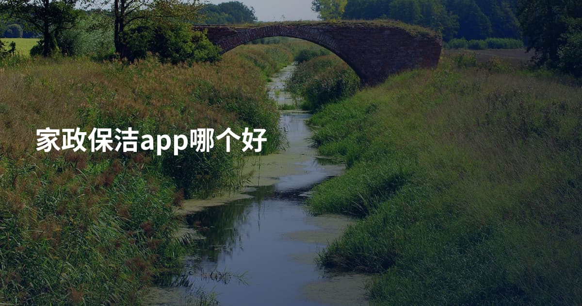 家政保洁app哪个好