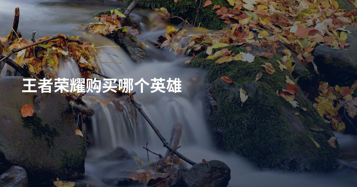 王者荣耀购买哪个英雄