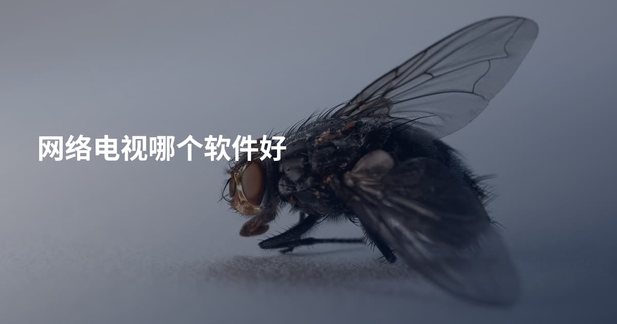 网络电视哪个软件好